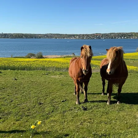 Bondegard Med Havudsigt Villa Kolding